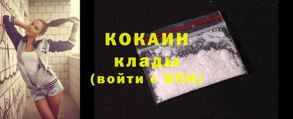 мяу мяу мука Аркадак