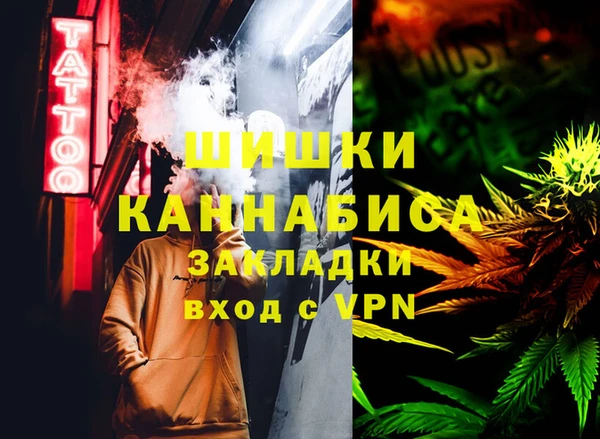 шишки Армянск