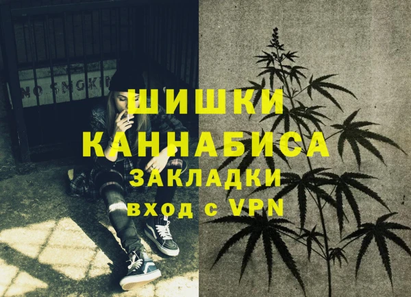 шишки Армянск