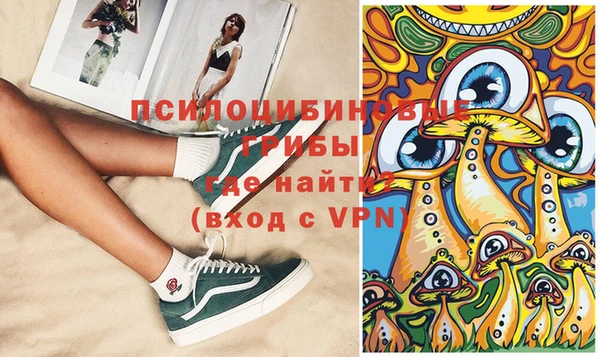 шишки Армянск