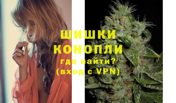 шишки Армянск