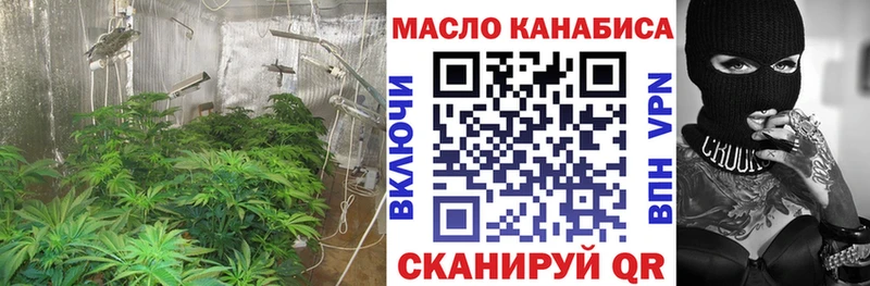 ТГК THC oil  мега   Санкт-Петербург 