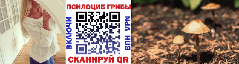 Галлюциногенные грибы мухоморы  Санкт-Петербург 